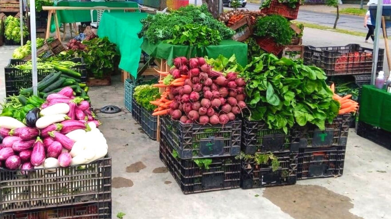 “Nosotros reconstruimos la tierra golpeada por agroquímicos”