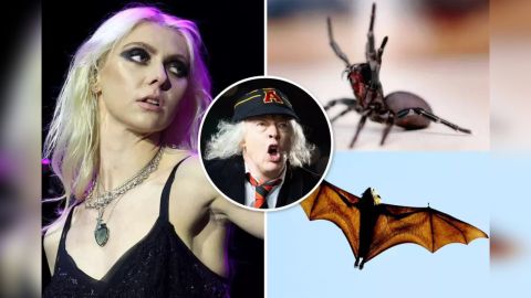 A Taylor Momsen la picó una araña gigante antes de tocar con AC/DC en México